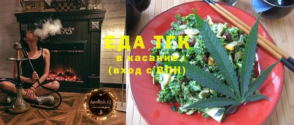 индика Аркадак