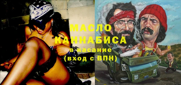 индика Аркадак