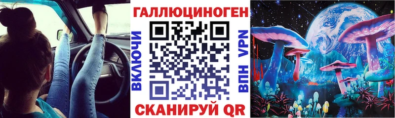 blacksprut tor  купить наркотик  Вилючинск  Галлюциногенные грибы GOLDEN TEACHER 